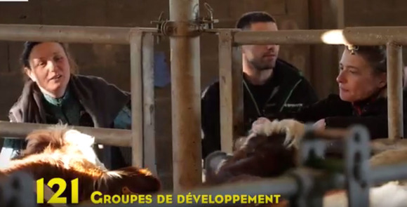 Agriculture, la force du collectif Agriculture, la force du collectif